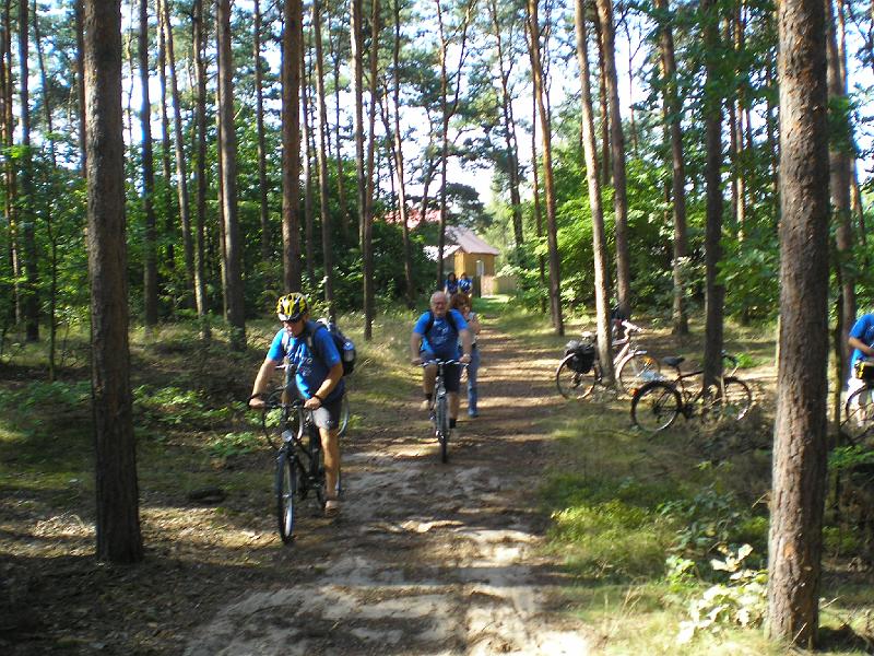 rowtras 024.jpg - c.d